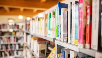 Христианский книжный магазин: &laquo;Закон штата Колорадо принуждает нас принять ЛГБТ-идеологию&raquo;